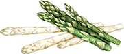 gesundheitsblog-medici-and-more_spargel
