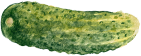 medici-and-more-gurke