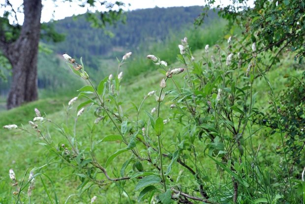 DSC_1841_bearbeitet-2