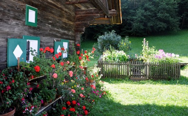 DSC_2010_bearbeitet-1