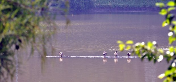 dsc_0803_bearbeitet-2