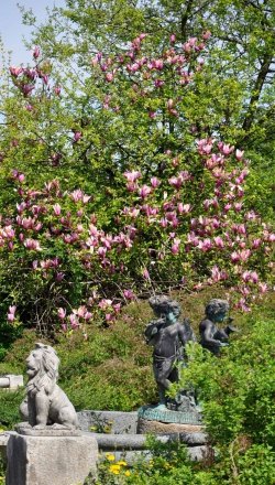 DSC_1435_bearbeitet-1