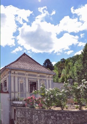 DSC_3003_bearbeitet-1
