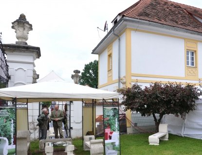 DSC_4636_bearbeitet-2