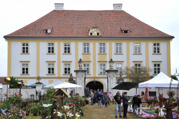 DSC_4656_bearbeitet-1