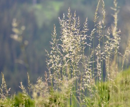 DSC_4692_bearbeitet-1